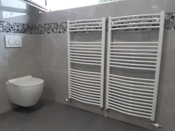 Gäste-WC mit Wand-WC und zwei Handtuchheizkörpern vor Mosaikbordüre
